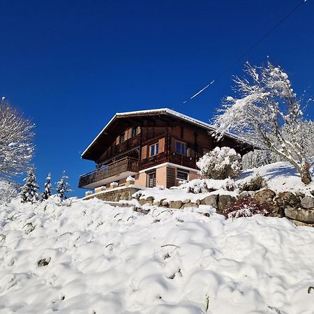 Chalet De Manigod Buitenkant foto