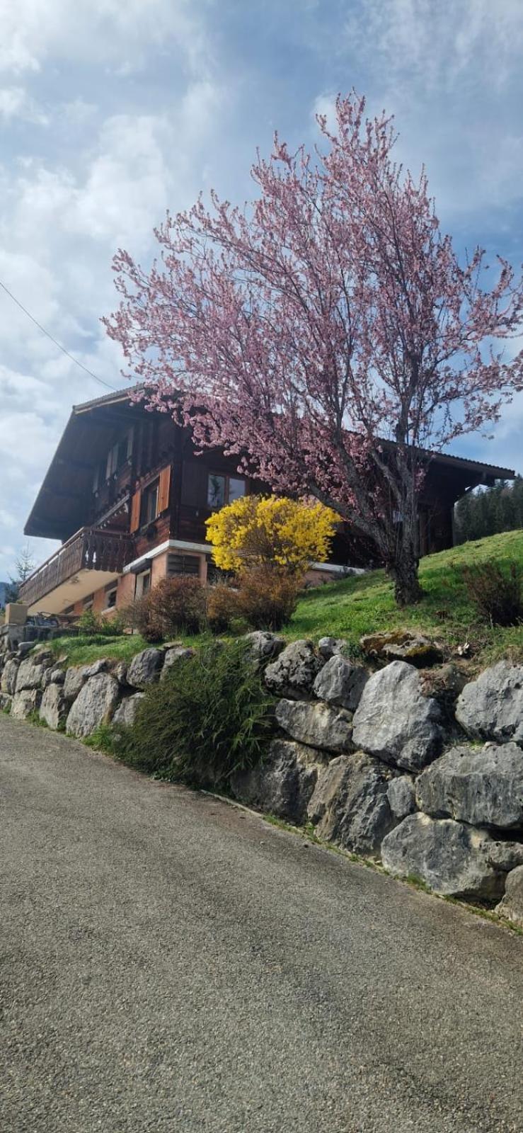 Chalet De Manigod Buitenkant foto